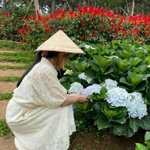 Cẩm Tú Trương Thị