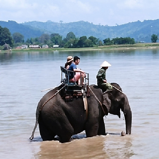 Nguyễn Văn Thông