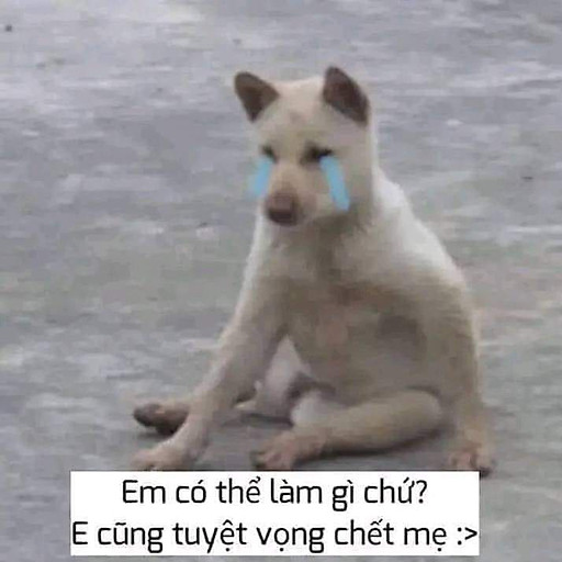 Hữu Trí Võ