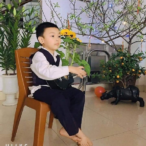 Nguyễn thường xuyên