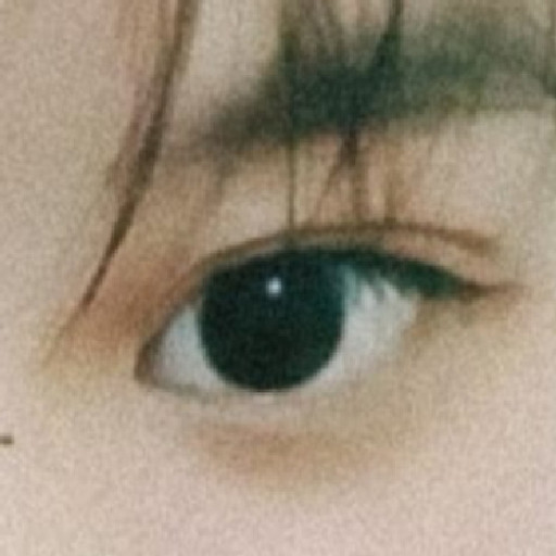 Thư Lê