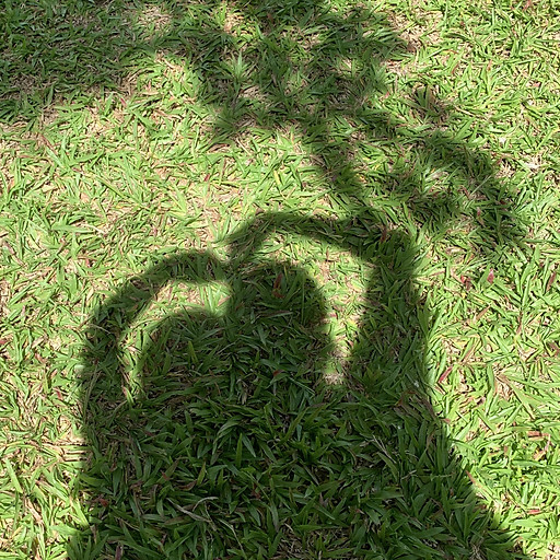 PHẠM NGÔ THU GIANG