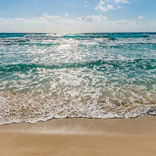 Trần nguyên thảo