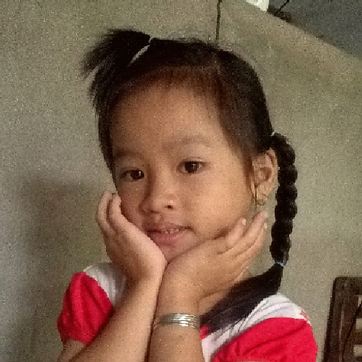 Danh Thanh Sang