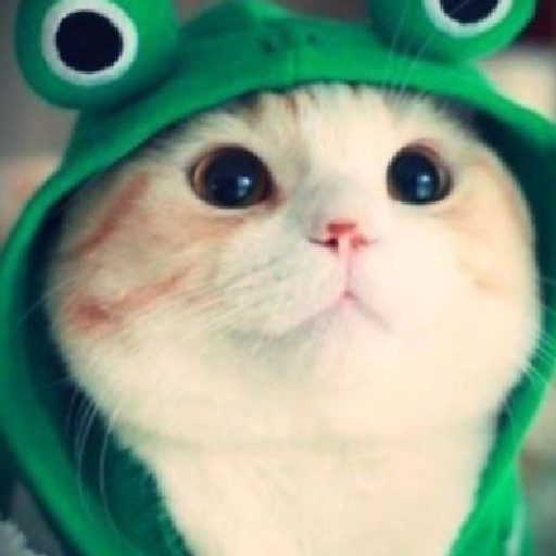 Nhữ thị bích ngọc