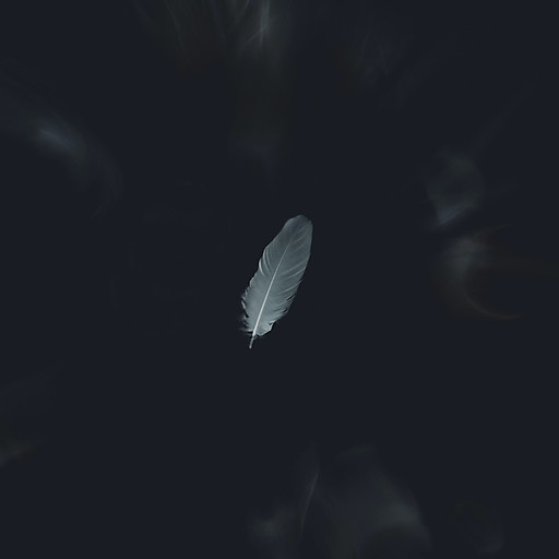 Nguyễn Tấn Hiển