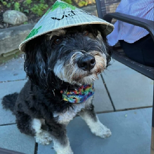 Nguyễn Quốc Cường