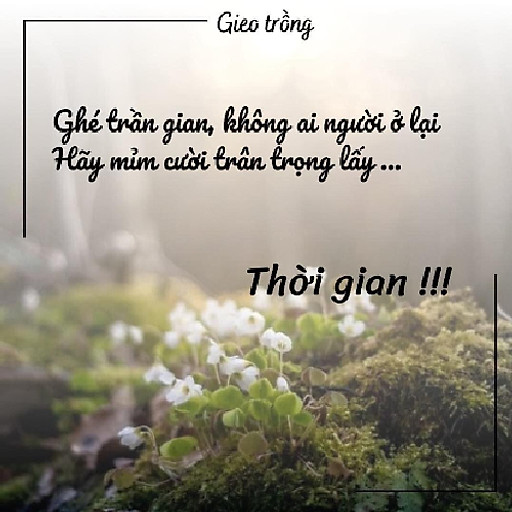 An Nhiên