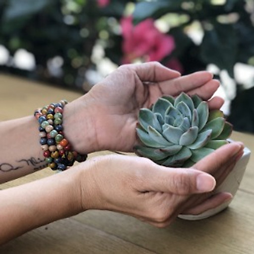 Phan Thị Ngọc Hội