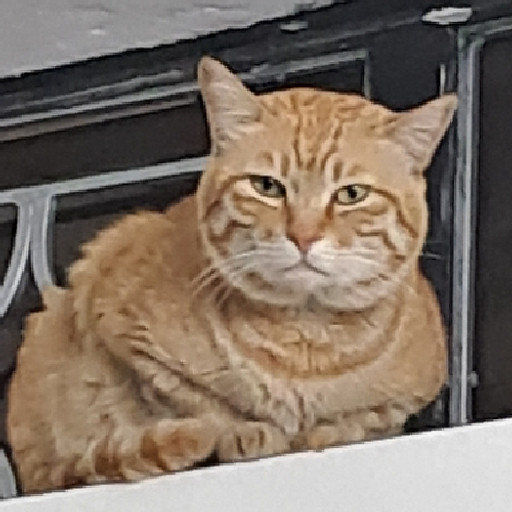 Nguyễn Đăng Trường