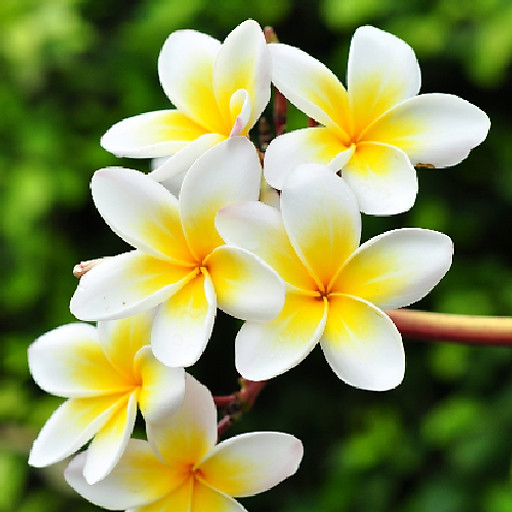 Tôn Nữ Hoàng Anh