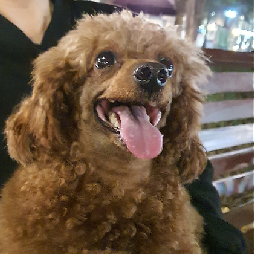 Nguyễn Đại Thắng