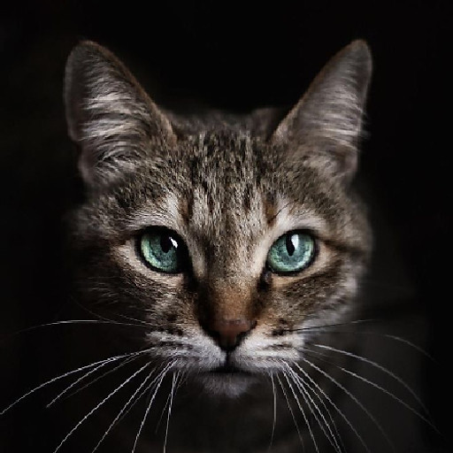 Nguyễn Duy Tường Hưng