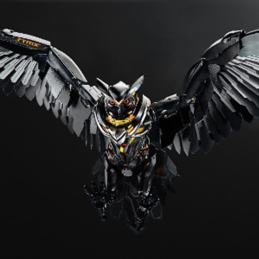 Thái Chánh Nguyễn