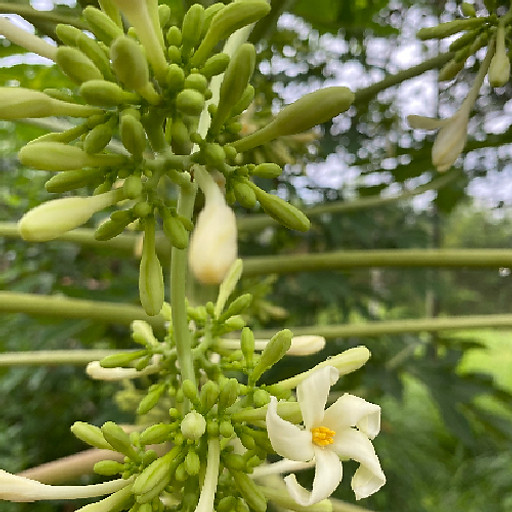 Ngô thị thanh tuyền