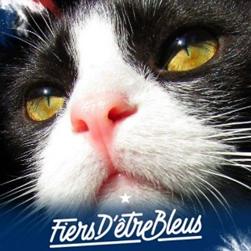 Trọng Nhân Phạm Nguyễn