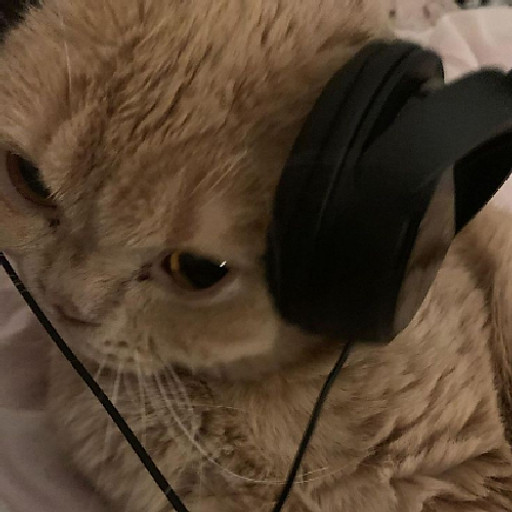 Nguyễn Doãn Hải