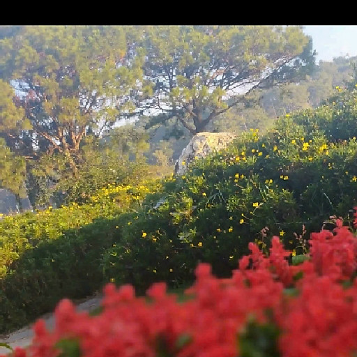 Hsu Biing Tzer David