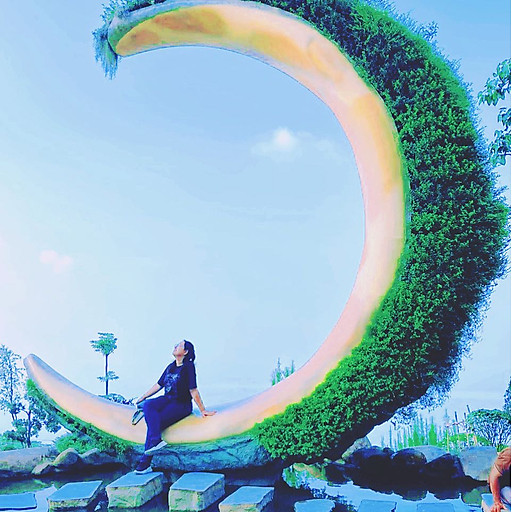 Nguyen Duong Hoang Anh