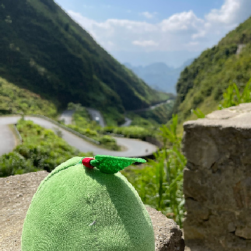 Ngọc Trinh Đường