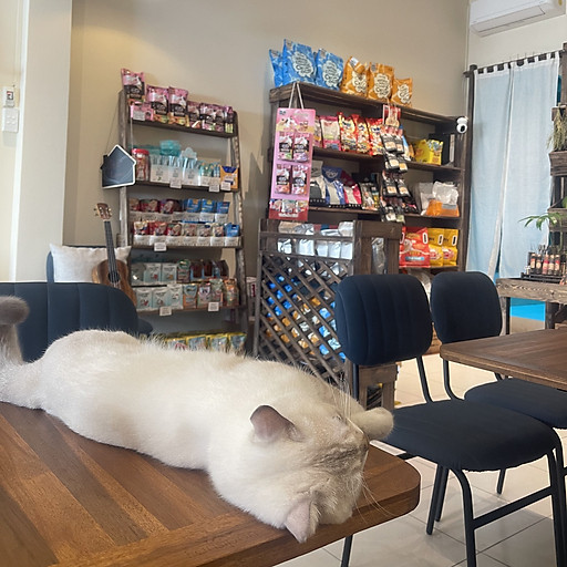 nguyen thi thao nguyen