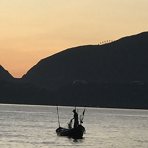 Đinh Thụy Khánh Chi