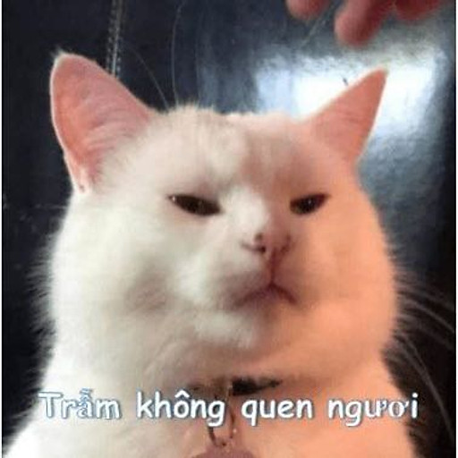 Anh Tên Là Gì