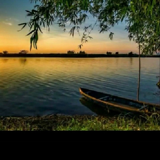 Nguyễn Minh Thiện