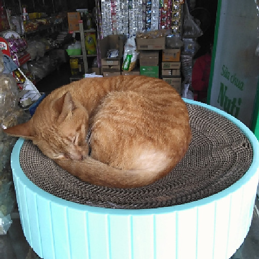 Lê Đình Sơn