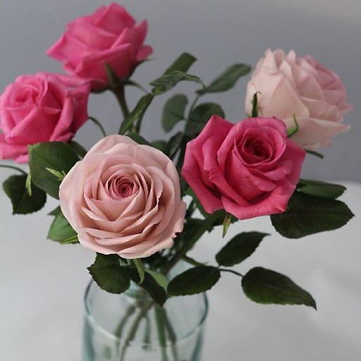 Đỗ Nguyễn Nguyệt Hạnh