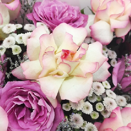 Trương Thị Xuân Hương