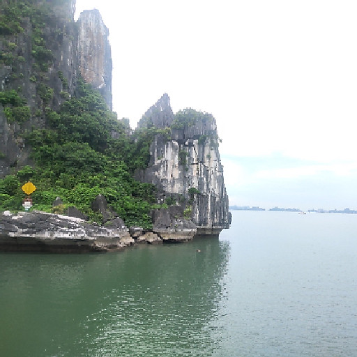 Huỳnh Ngọc Đan Vy