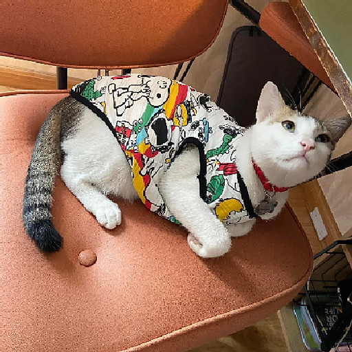 Lê Hoàng Thảo Uyên