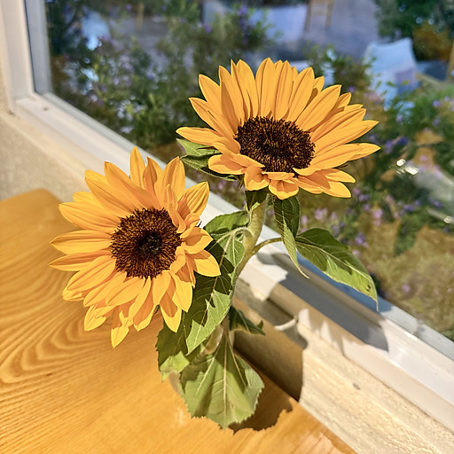 Tran Diep Phuong Nhi