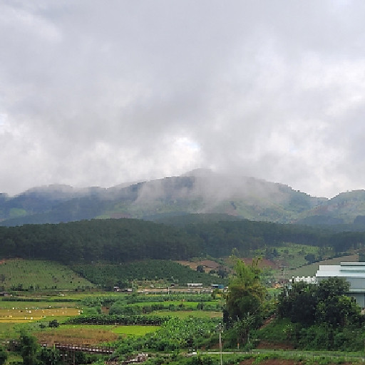 Nguyễn Tấn Thức