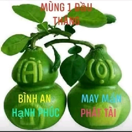 Nguyễn Thị Ngọc Thư