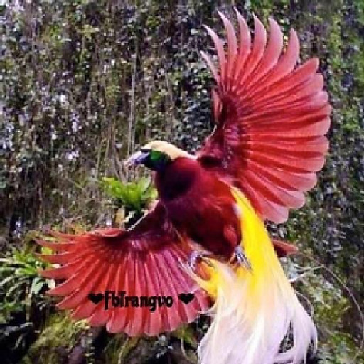 Phạm thị thanh thuỷ