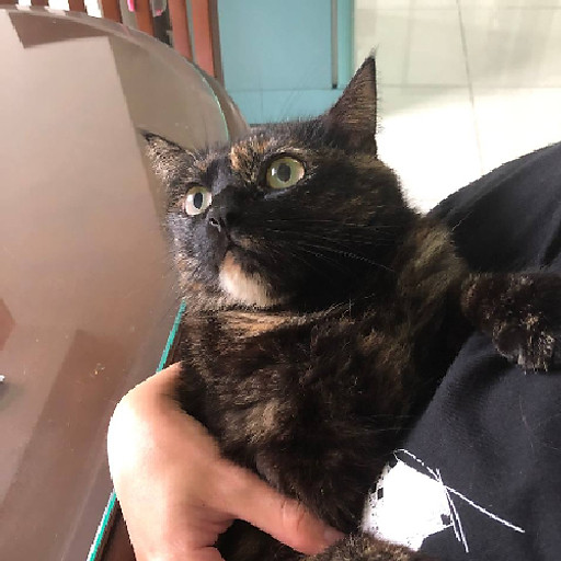 Nguyễn Minh Tuấn