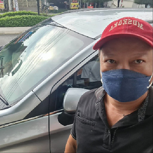 Nguyễn Sử Việt