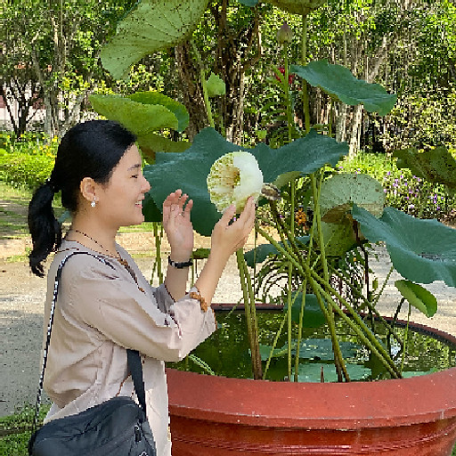 Lê thị thái uyên