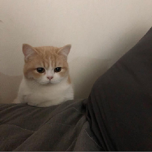 Bùi Thị Phương Thứ