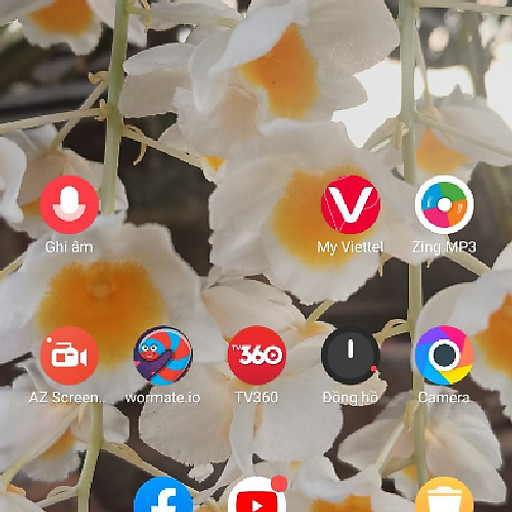 Trung Quyết Trần