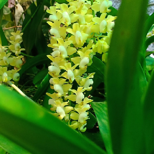 Nguyễn Văn Tuyển