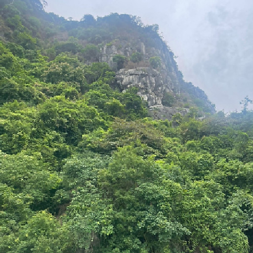 dương kiều trang