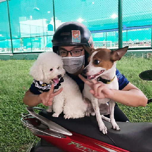 Thông Trần Quốc