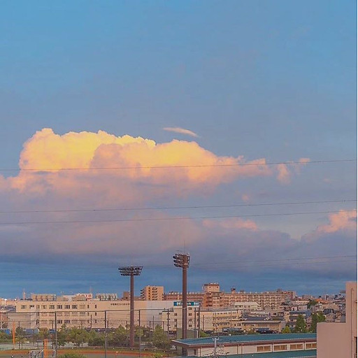 Trần Phạm Bảo Ngân 