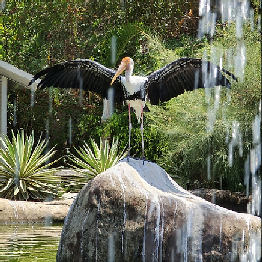 Nguyễn Minh Tuấn