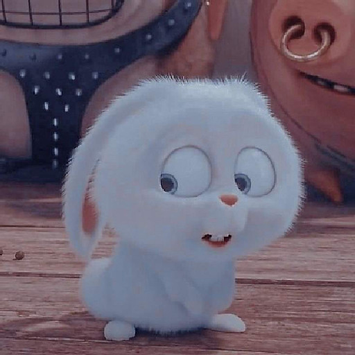 Nguyễn Xuân Quang