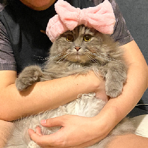 Trần Thị Thanh Phượng