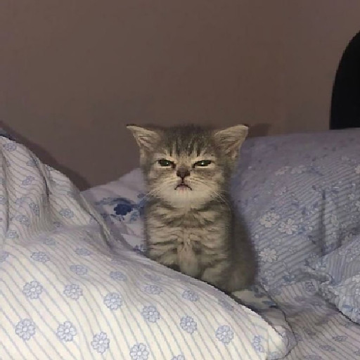 Trần Hương Giang